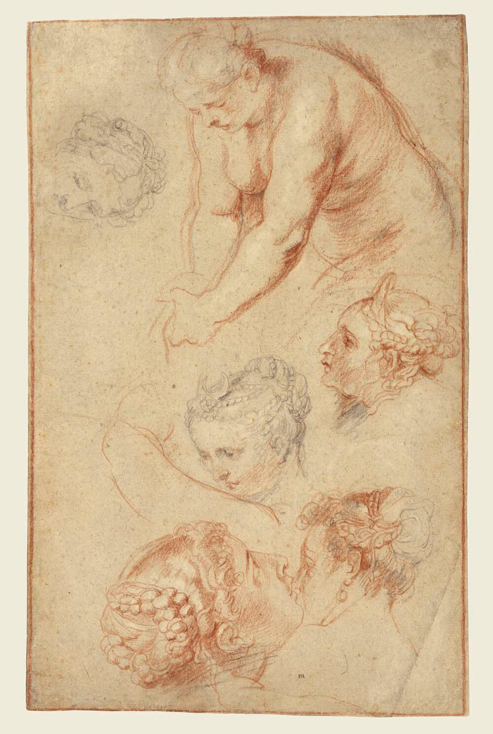 Studies of Women Gm-00000901