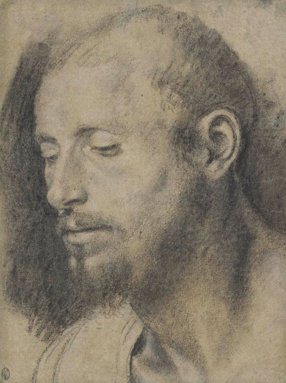 Study of the Head of a Bearded Man Gm-00001401