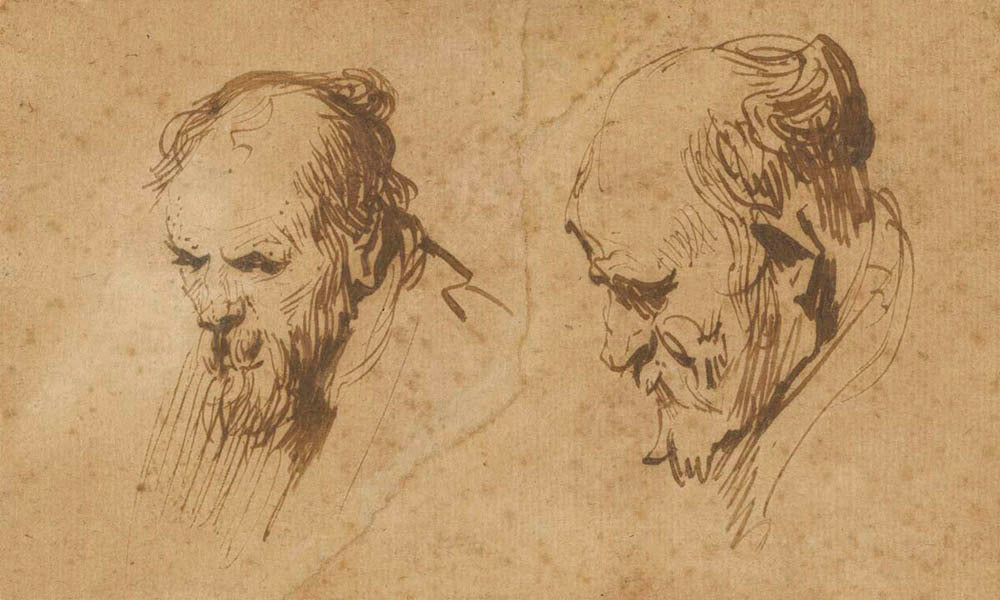 Two Studies of the Head of an Old Man Gm-00003301
