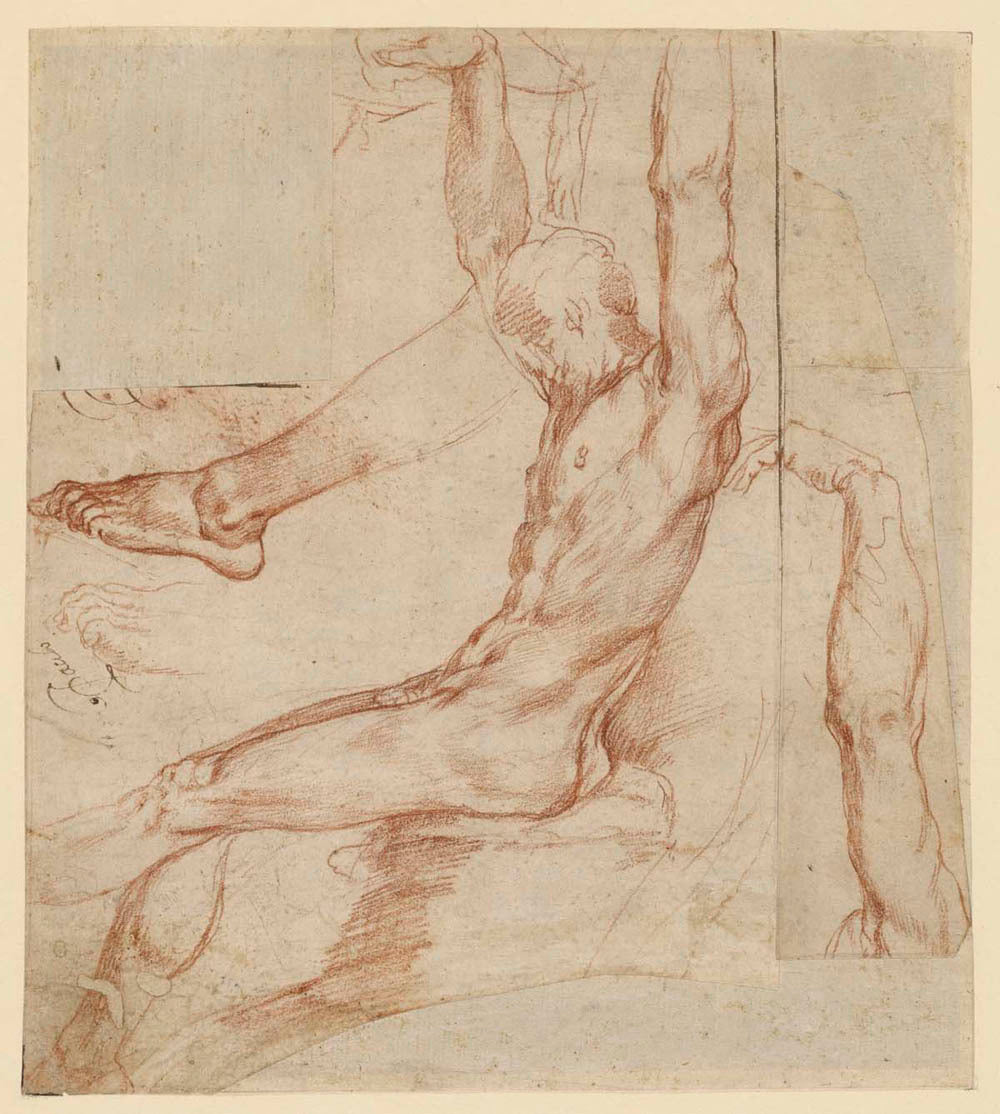 Study of a Man with Various Sketches (recto); Study of a Man&#39;s Draped Leg (verso) Gm-00006901