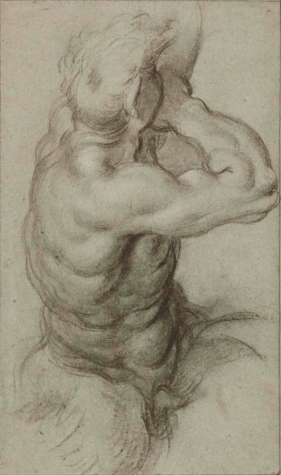 Study of Triton Blowing a Conch Shell (recto); Partial Study of an Arm (verso) Gm-00007401