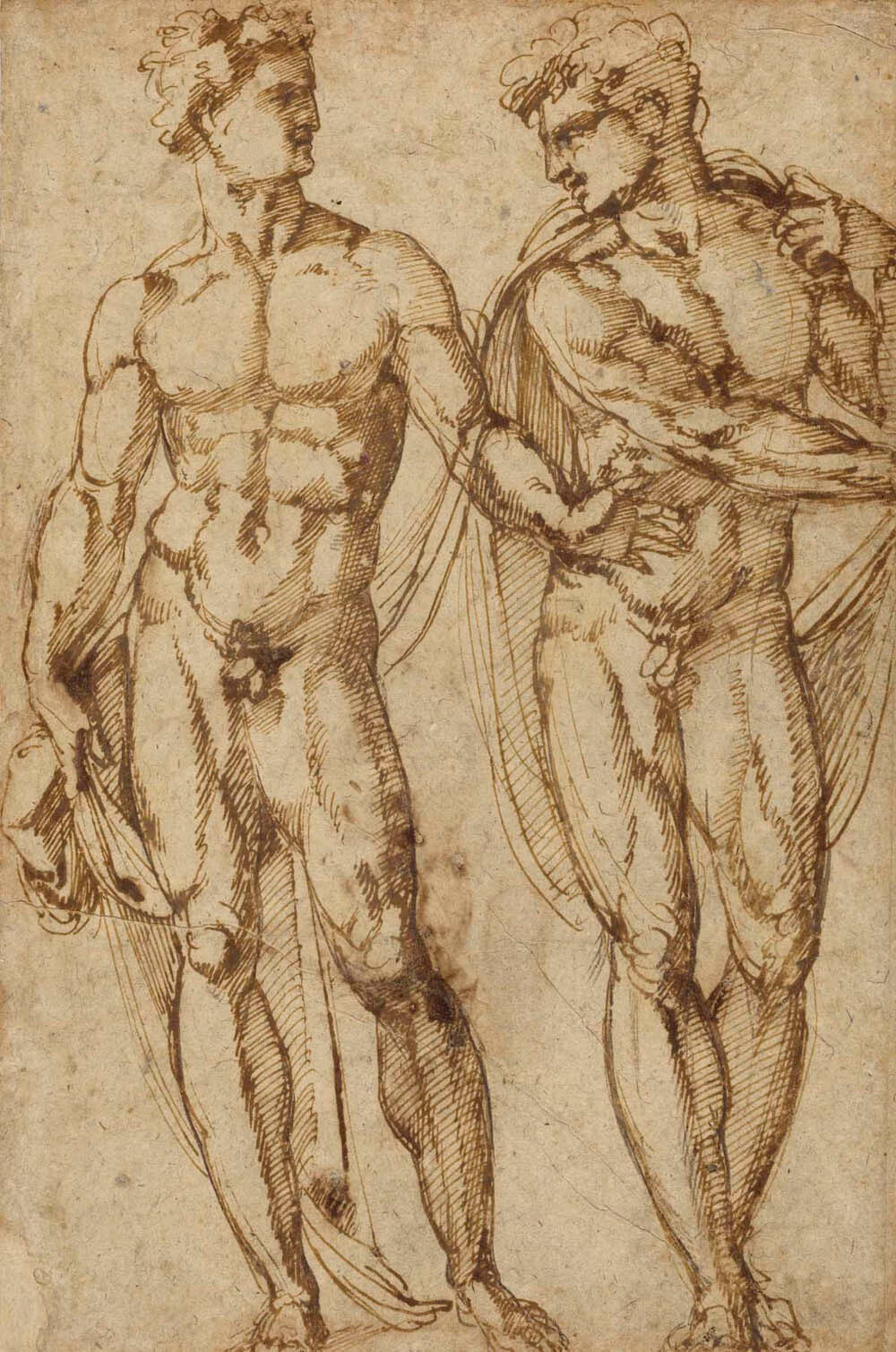 Study of Two Men (recto); Study of the Head of a Bearded Man (verso) Gm-00012901