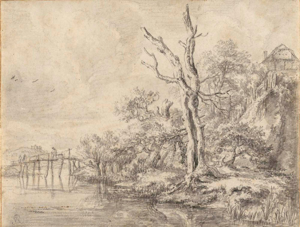 Dead Tree by a Stream at the Foot of a Hill Gm-00014801