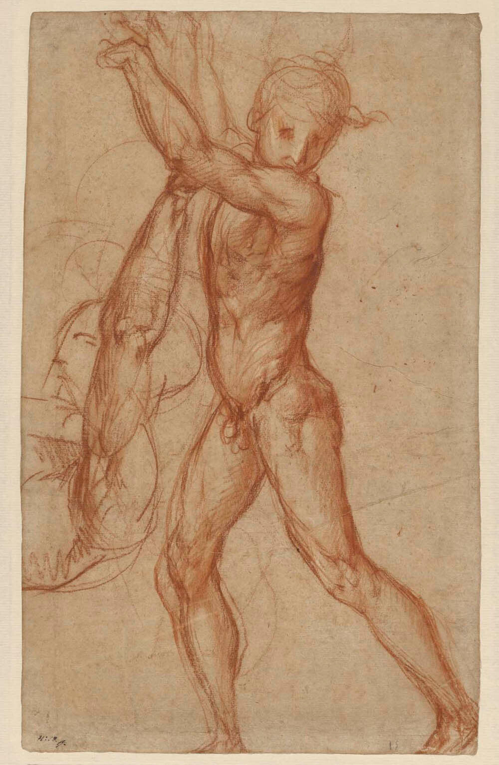 Study of a Nude Boy, Partial Figure Study (recto); Study of a Seated Man (verso) Gm-00022401