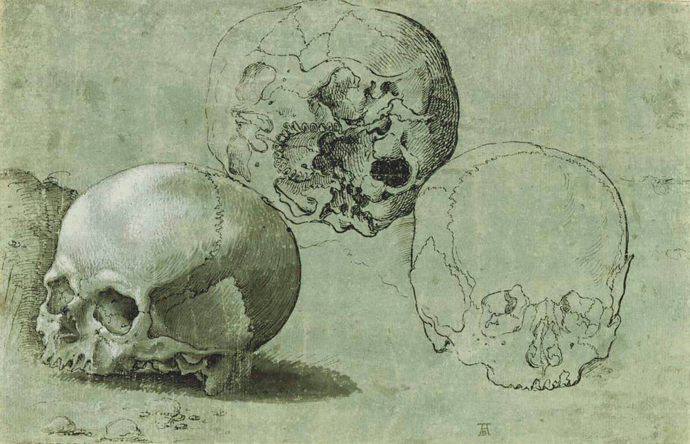 Study of Three Skulls (recto); Architectural Study (verso) Gm-00028401