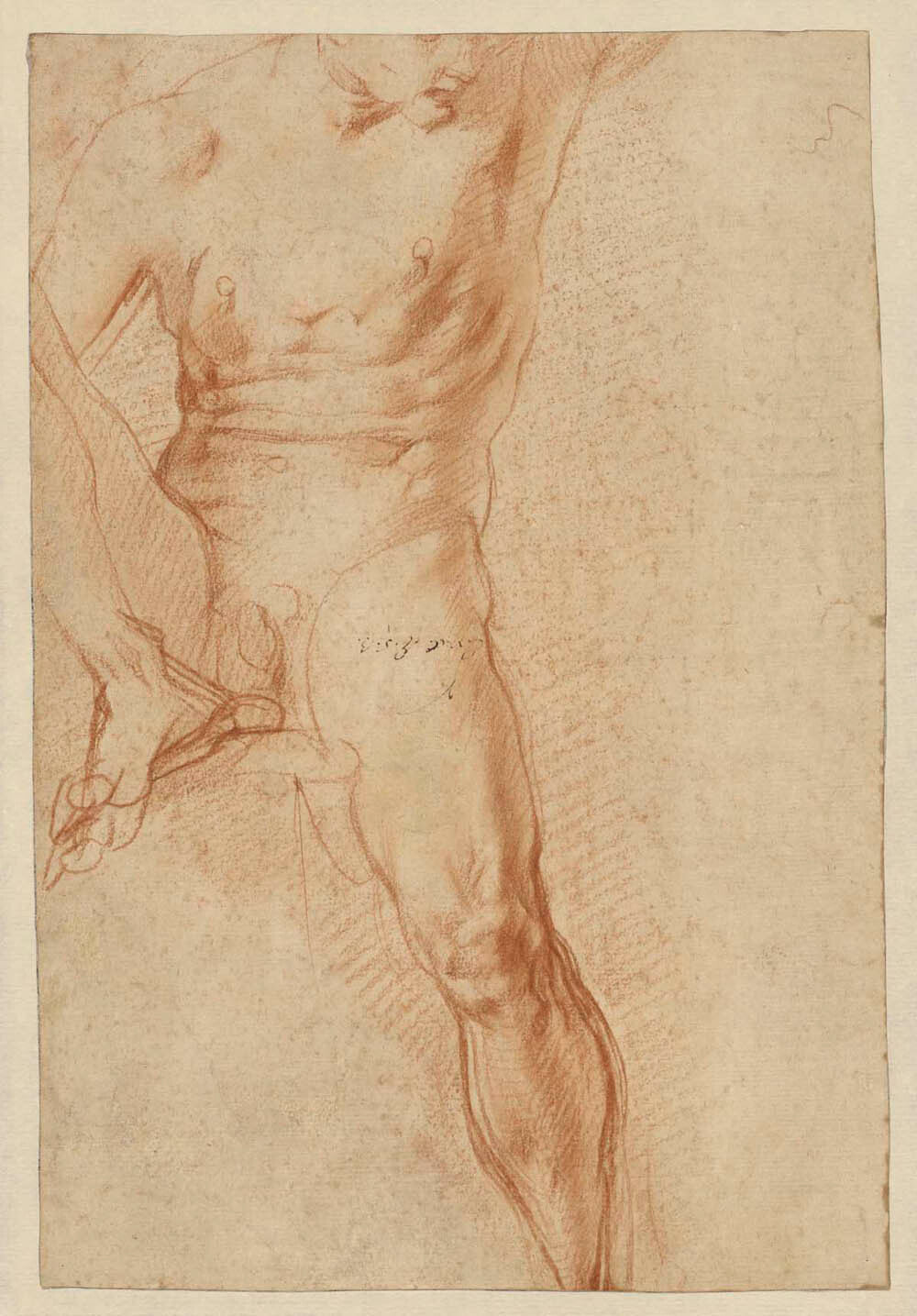 Seated Figure (recto); Reclining Figure (verso) Gm-00030901