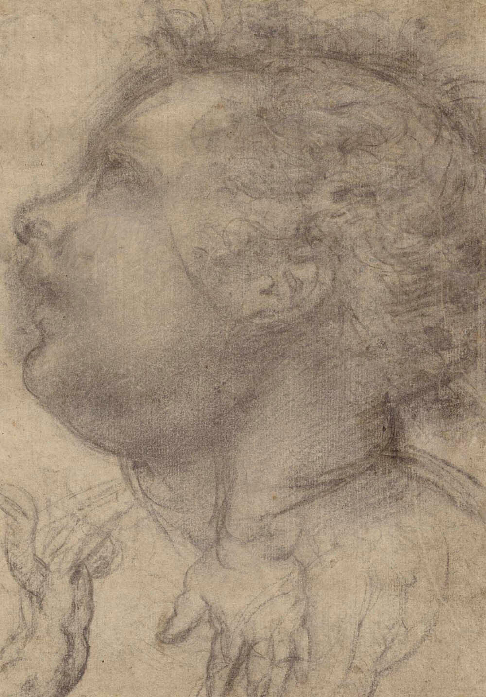 Head of a Child, an Angel and a Hand (recto); Male Figure (verso) Gm-00032601