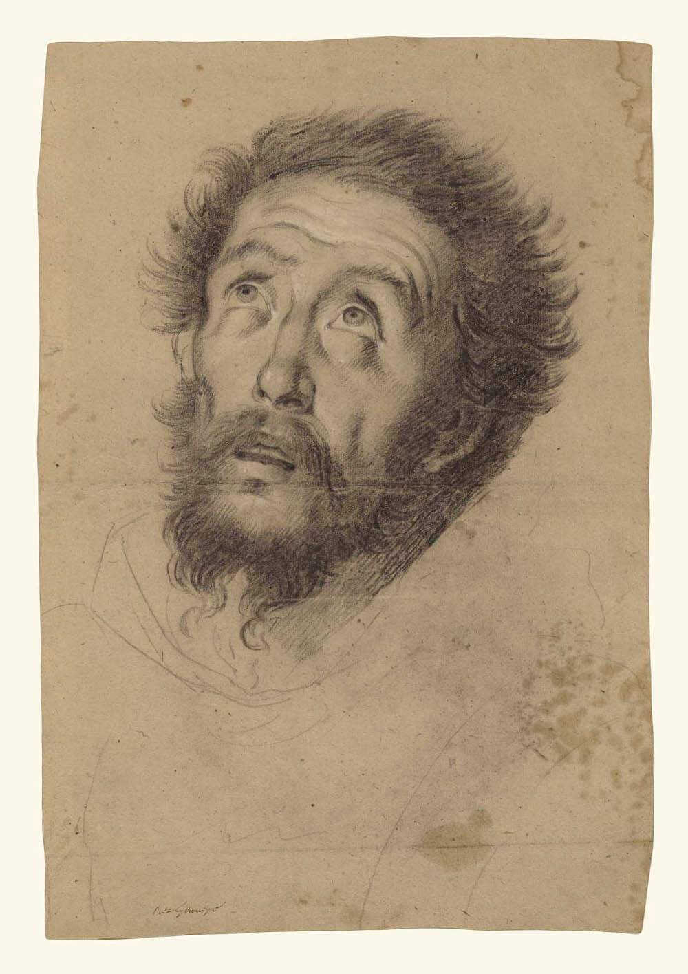 Head of Saint Francis (recto);  Studies of the Head of Saint Francis, Head of an Old Man, and Two Right Hands (verso) Gm-00034001