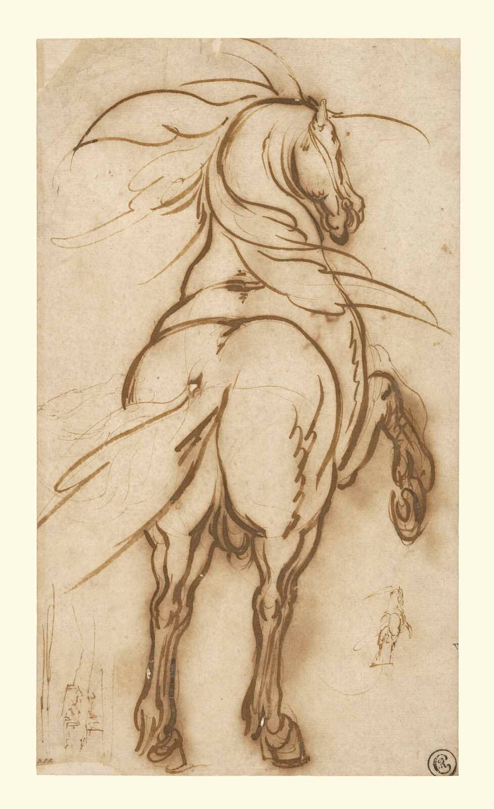 Study of a Rearing Horse Gm-00034901