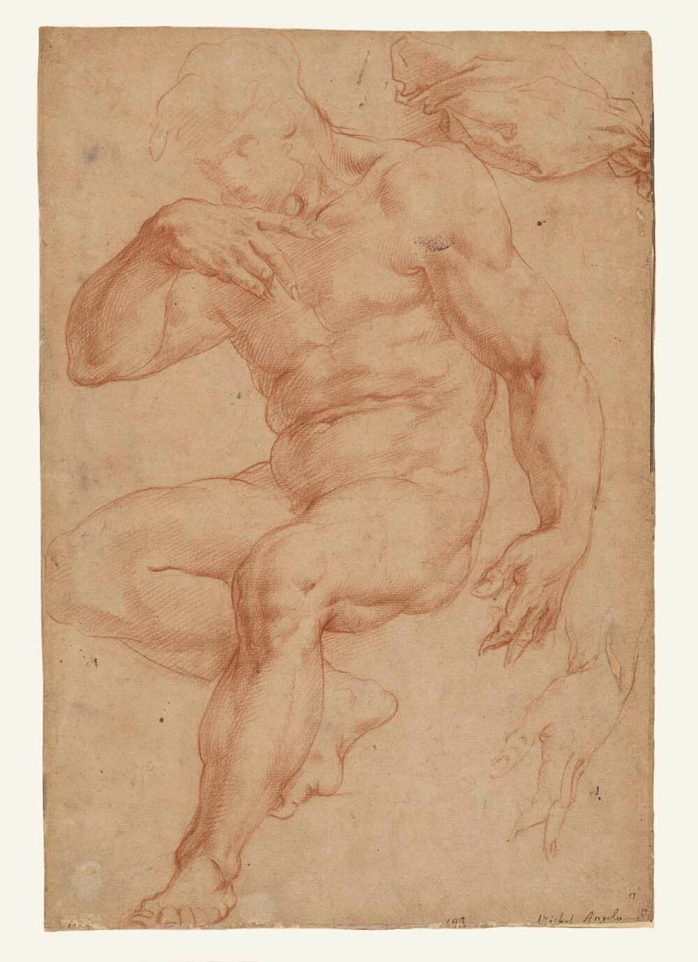 Studies of a Male Nude, a Drapery, and a Hand Gm-00035701