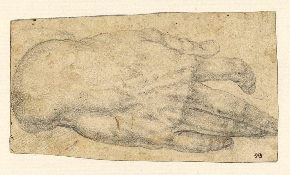 Study of a man's right hand (recto); Studies of four heads and of a nude figure seen from the rear (verso) Gm-00038501