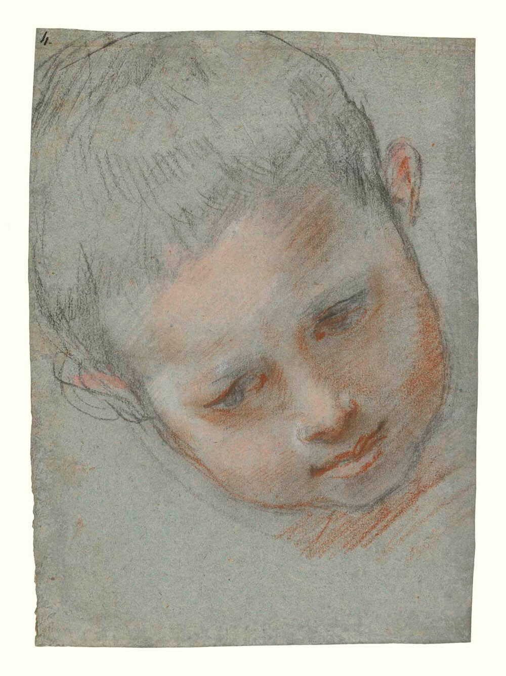 Head of a Boy (recto); Figure Studies (verso) Gm-00042201