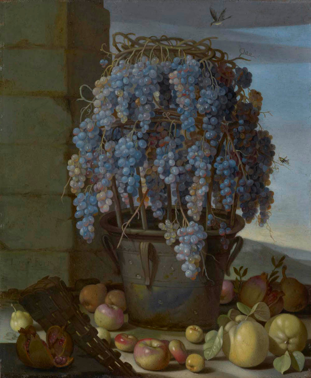 Still Life with Grapes and Other Fruit Gm-00090801