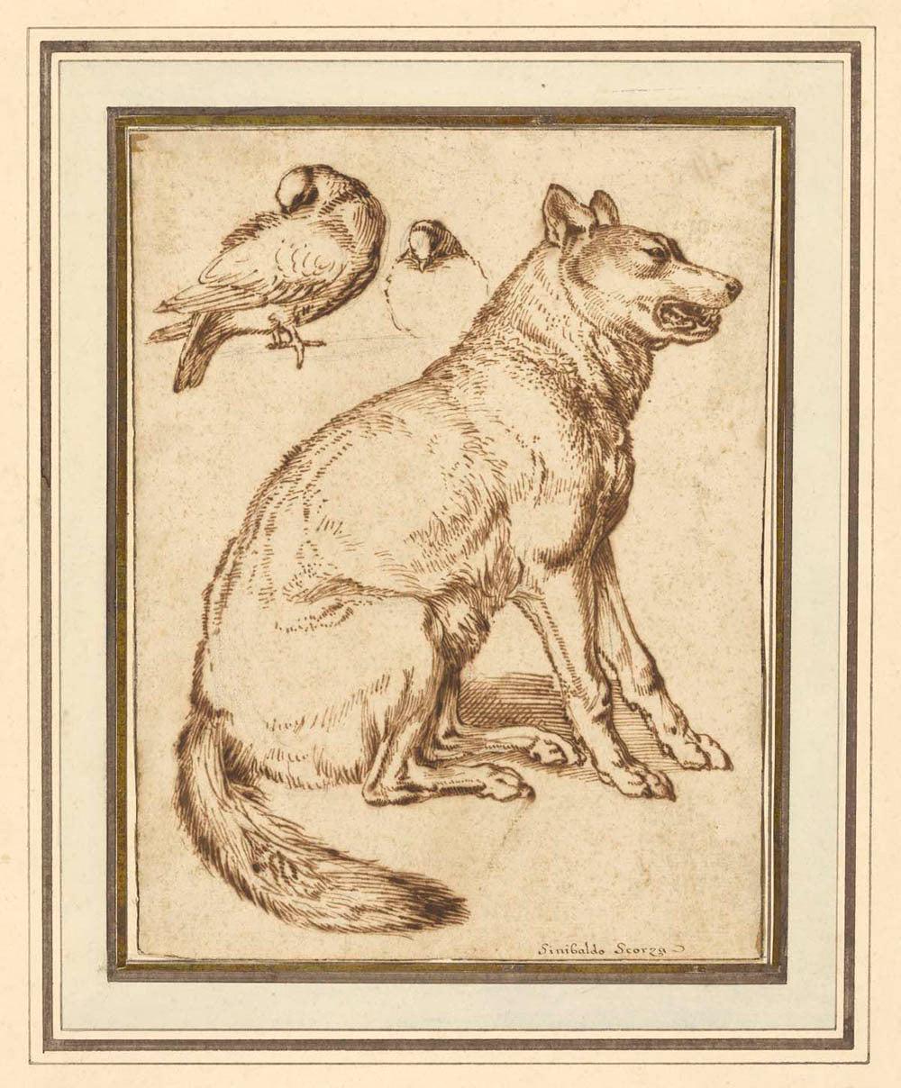 A Wolf and Two Doves Gm-10870201