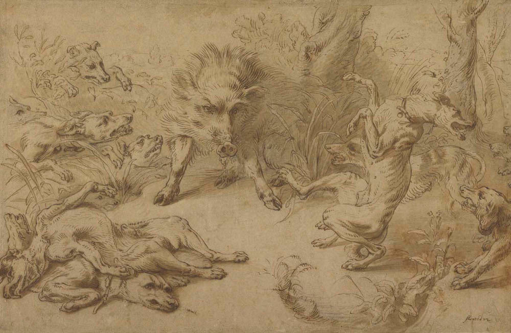 A Wild Boar at Bay Gm-11468201