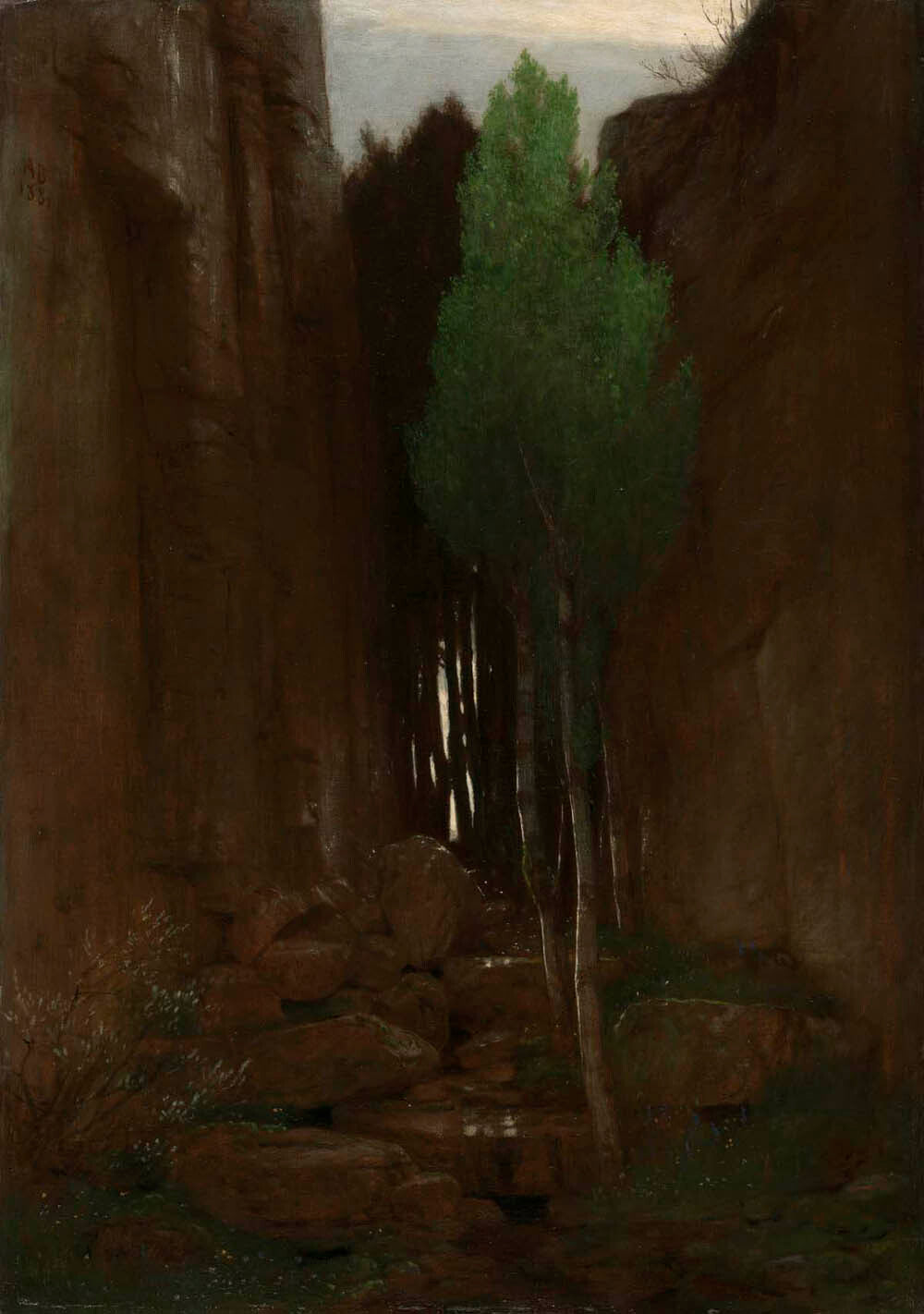 Spring in a Narrow Gorge (Quell in einer Felsschluct) Gm-32334501