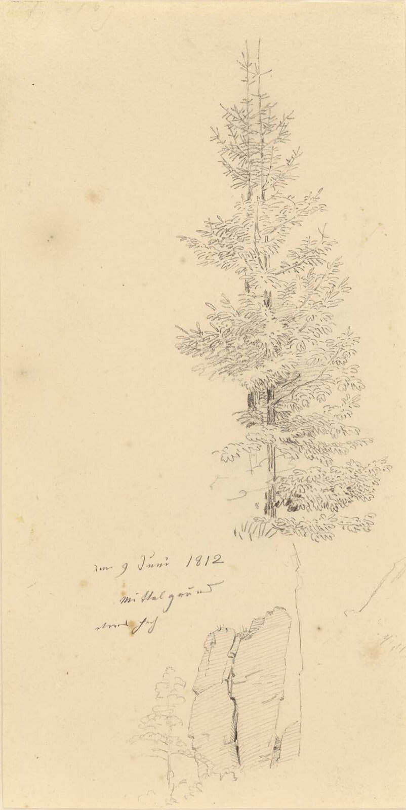 Study of Pine Trees and a Rock (recto); Landscape (verso) Gm-34480201