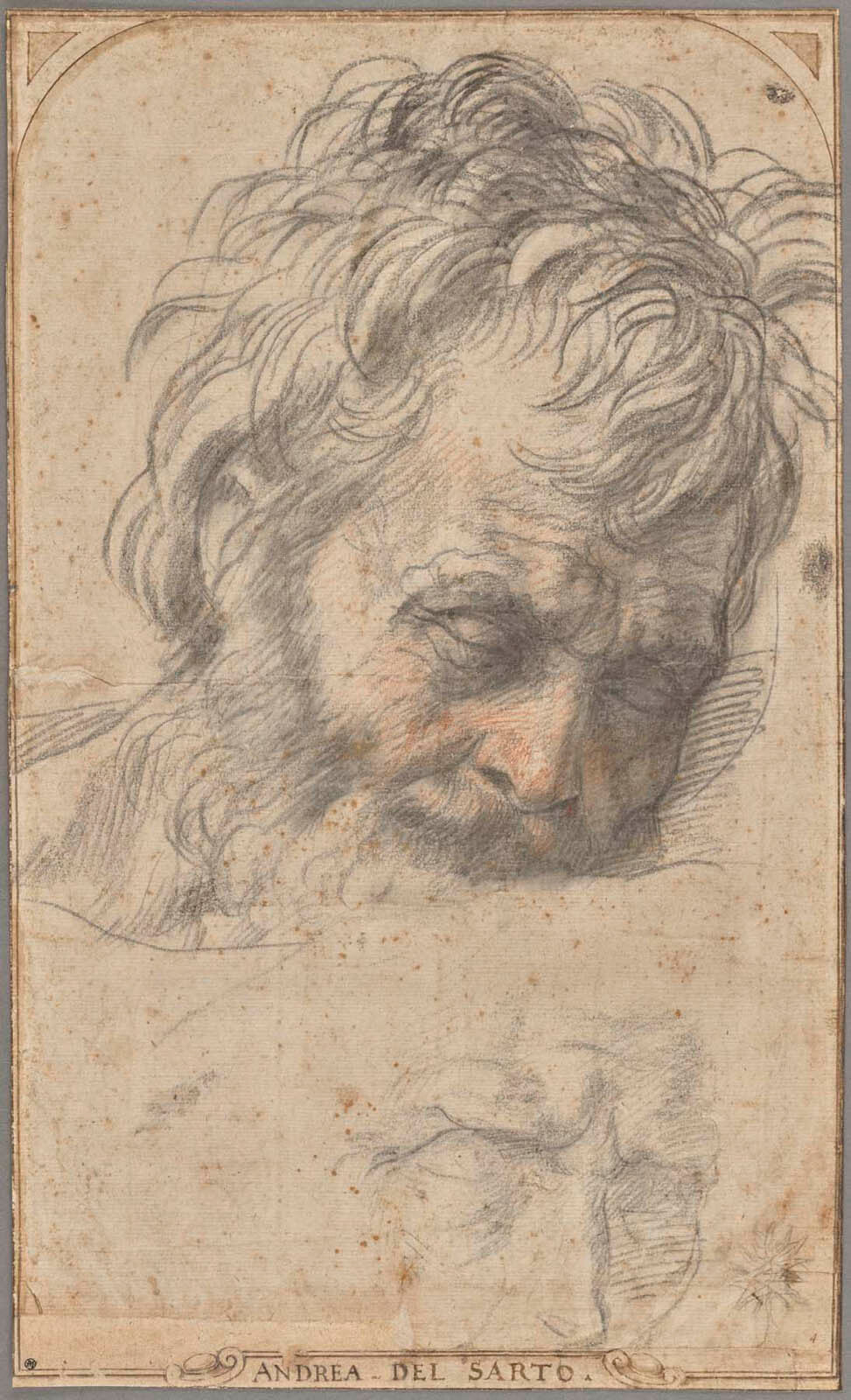 Study for the Head of Saint Joseph (recto); Two Studies of Legs (verso) Gm-34536801